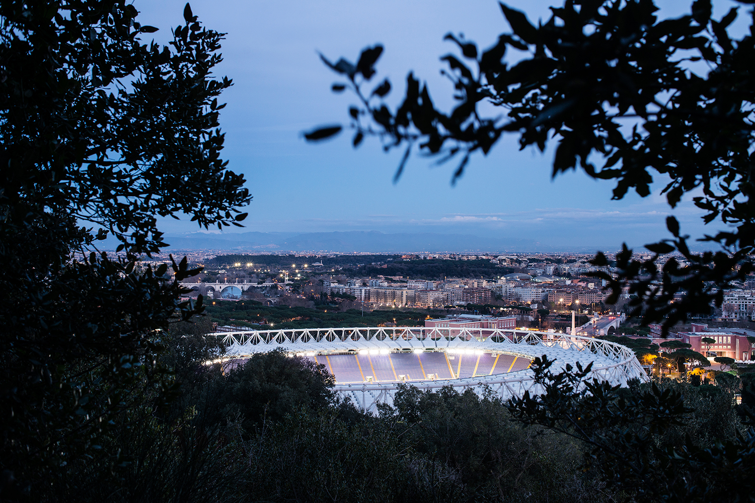Olimpico stadium, Rome, January 2015.